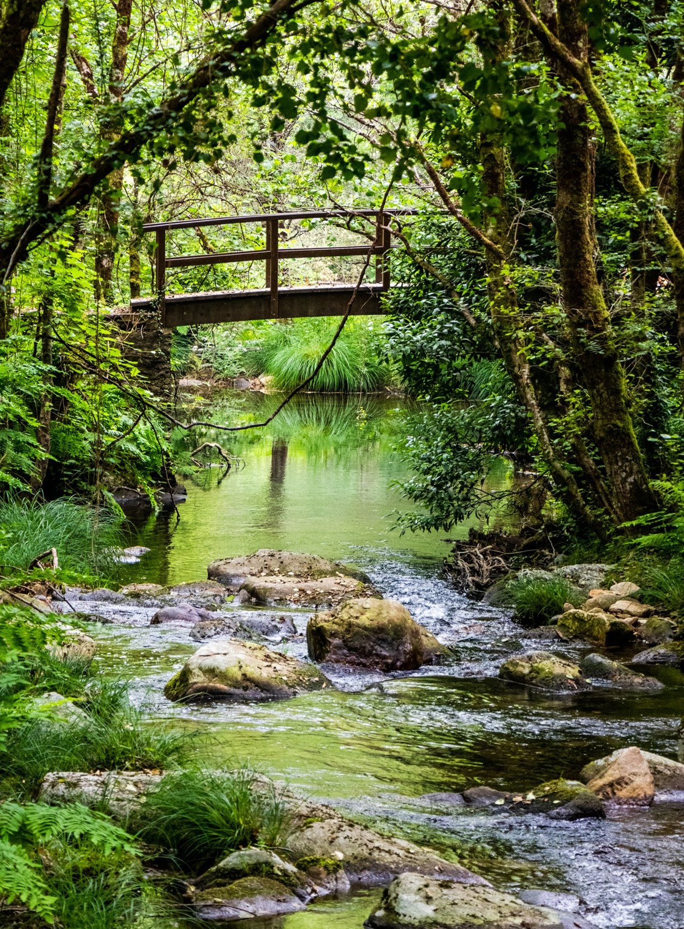 B-ID NATURE IN MIND B-ID NATURE IN MIND
